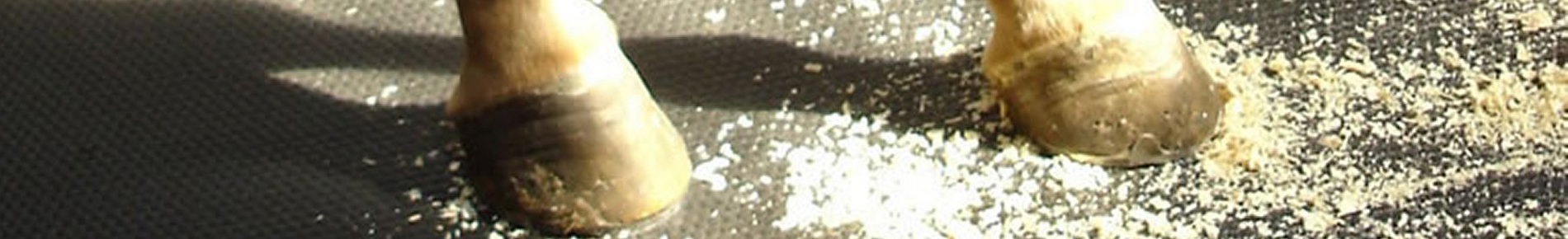 Hestestaldmåtte for hestebokse og hestestalde