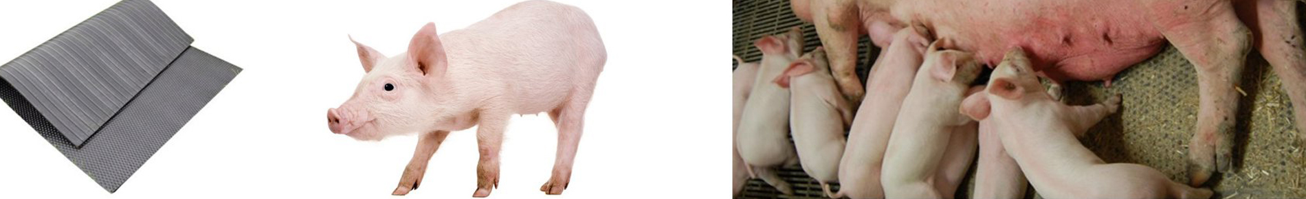 Somåtter, staldmåtter, for forebyggelse af skuldersår faresti, Sostaldmåtte SSM