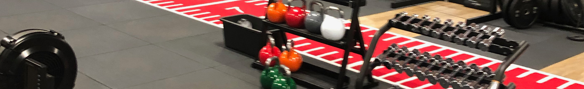 Fitness World Bredballe ErgoGrass Prowlerlane inkl. firmalogo