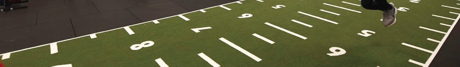 ErgoGrass Prowlerbane - Prawlerbane - Kunstgræs -  sled track